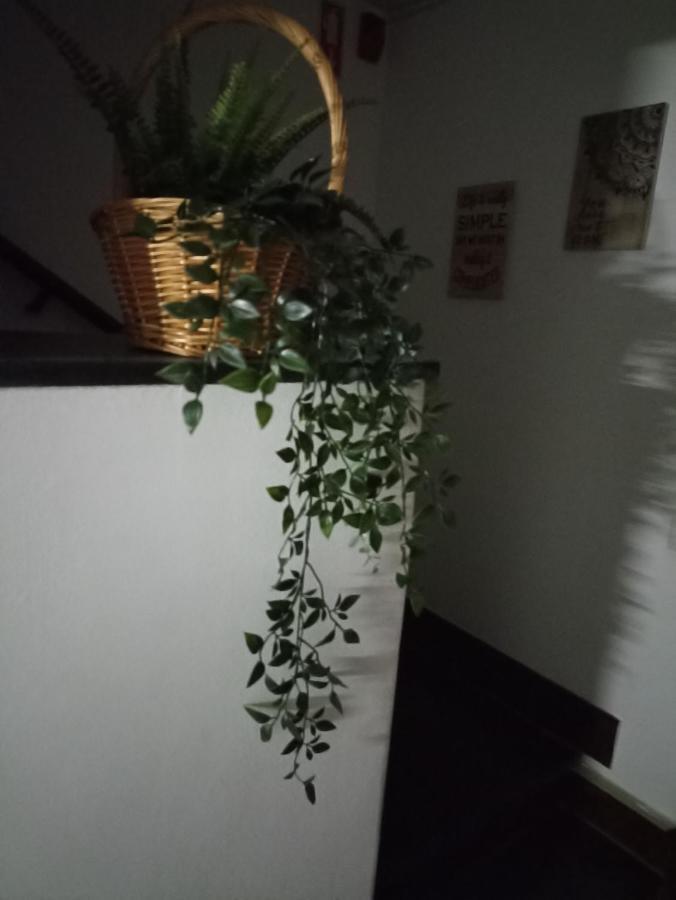 Hostel Vilarade Portimão Dış mekan fotoğraf